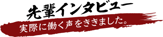 先輩インタビュー
              